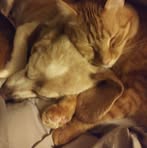 Terri Berry - Facebook