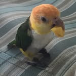 Terri Bertrand Fong - @terribertrandfong - Instagram