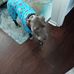 Terri Bishop - Facebook