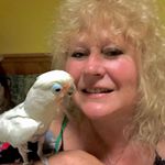 Terri Bishop Pace - @terri_bishop_pace1 - Instagram