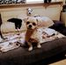 Terri Blanchard - Facebook