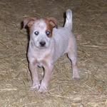Terri Bock - @bockterri - Instagram