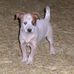 Terri Bock - Facebook