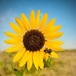 Terrie Bolander - @lifeisgoodw5 - Instagram