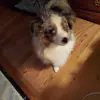 Terri Bone - @terri.bone - TikTok