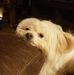Teresa Bostic - Facebook