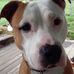Terri Bowen - Facebook