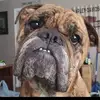 Terri Bowens - @terri.bowens1 - TikTok