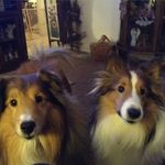 Terri Bowermaster - @terribowermaster - Instagram