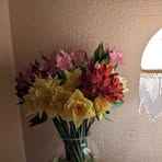 Terri Boyle - Facebook