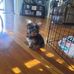 Terry Bragg - Facebook