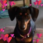 Terri Browning - @terribrowning1953 - Instagram