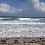 Terri Broyles - @tlabroyles - Instagram