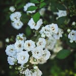 Terry Broyles - @elipysohans53 - Instagram