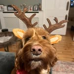 Terri Bruce - @tezzab40 - Instagram