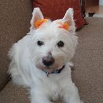 Terri Gartner Burks - @terri.g.burks - Instagram