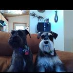 @terribusby68 - Instagram