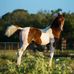 Terri Cage Photography - Facebook