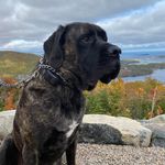 Terri Cameron - @terri.cameron.92 - Instagram