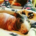 Terri Cameron - @terri.cameron.16 - Instagram