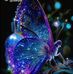 Tara Khatun - Facebook