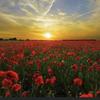 Terry Caton - @terry.caton - TikTok
