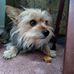 Terrie M Cavanaugh - Facebook