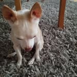 Terri Chang - @dakanaka65 - Instagram