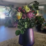 Terri Chapman - @tcreads - Instagram