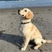 Teresa L. Charpentier - Facebook