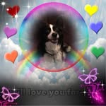 Terri Mitchell Chase - @terrichase - Instagram