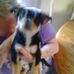 Terri Clary - Facebook