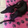 Terri Clinton - @terri.clinton - TikTok