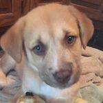 Terri Coe - @terri_coe - Instagram