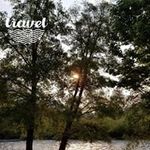 Terri Coe - @tcoe60 - Instagram