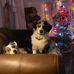 Teresa Colburn - Facebook