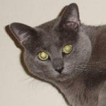 Terri Conley Penn - @pennpals - Instagram
