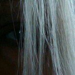 Terri Wilkerson-Cooke - @osunny1 - Instagram