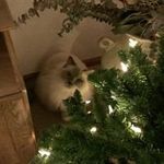 Terri Cooley - @cooleyterri - Instagram