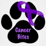 Terri Crane - Facebook