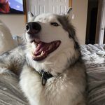 Terri Crane - @terri.crane.1238 - Instagram