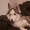 Terri Crane - @terri.crane.520 - TikTok