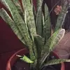 Terry Crow - @terry.crow23 - TikTok