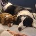 Terri Currie - Facebook
