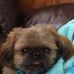 Terry Currie - Facebook