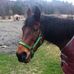 Terri Dailey - Facebook