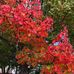 Terri Daly - Facebook