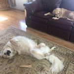 Terri Daly - @_terridal.y - Instagram