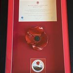 Terri Daly - @terrid1599 - Instagram