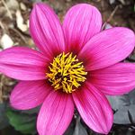 Terri A. Darling - @terridarling - Instagram